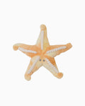 Bubble Plush Toy - Sunny the Starfish